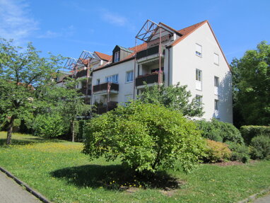 Wohnung zum Kauf 129.000 € 2 Zimmer 44,4 m² Erdgeschoss Seidnitz-Nord (Johnsbacher Weg) Dresden / Tolkewitz 01279