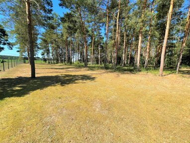 Grundstück zum Kauf 150.000 € 3.465 m² Grundstück Tornau Tornau 06772