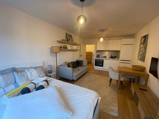 Wohnung zur Miete 800 € 1 Zimmer 28,1 m² 2. Geschoss Schnieglinger Str. 57 St Johannis Nürnberg 90419