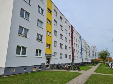 Wohnung zur Miete 442 € 4 Zimmer 68 m² 1. Geschoss frei ab sofort Brandteichstraße 18b Industriegebiet Greifswald 17489