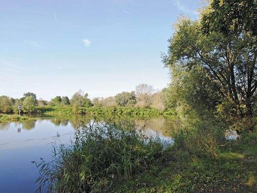 Wohnung zur Miete 331 € 2 Zimmer 47,7 m² 4. Geschoss Am Hohen Ufer 25 Silberhöhe Halle (Saale) 06132