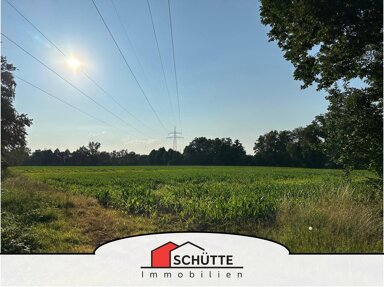 Landwirtschaftliche Fläche zum Kauf 39.140 m² 39.140 m² Grundstück Hasbergen - Schohasber Delmenhorst 27751