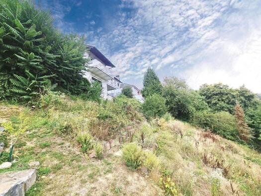 Mehrfamilienhaus zum Kauf 498.000 € 12 Zimmer 366 m² 920 m² Grundstück Eisenbach Selters 65618