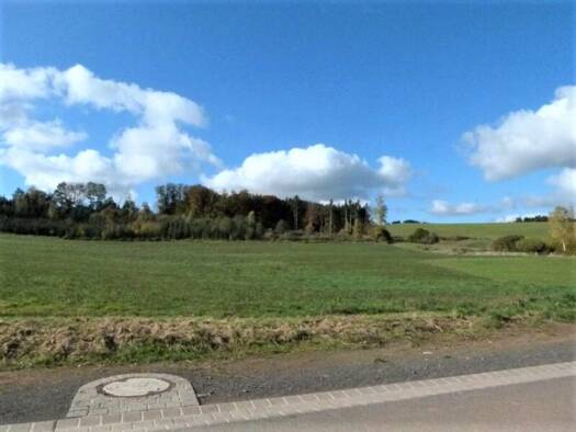 Grundstück zum Kauf 205.515 € 4.567 m² Grundstück Steffeln 54597