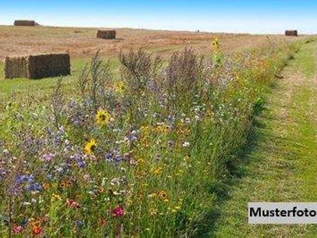 Land-/Forstwirtschaft zum Kauf 3.200 € 2.080 m² Grundstück Wiesloch 69168