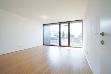 Wohnung zur Miete 427,05 € 1 Zimmer 40,8 m² Burgergasse Ernsthofen 4432