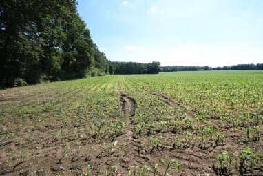 Landwirtschaftliche Fläche zum Kauf 129.000 € 25.000 m² Grundstück Daverden Langwedel 27299