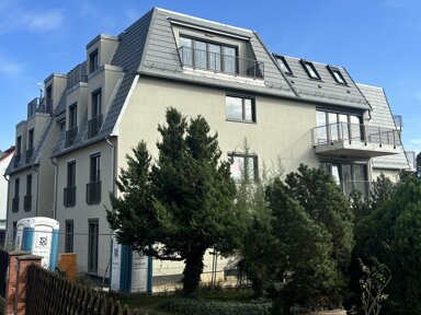 Terrassenwohnung zur Miete 1.957 € 4 Zimmer 103 m² EG frei ab sofort Kaiser-Friedrich-Straße 101 Eiche Potsdam 14469