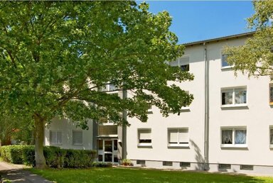 Wohnung zur Miete 459 € 3 Zimmer 54,6 m² EG frei ab 16.04.2025 Bergstraße 12 Wilhelmshöhe Eschweiler 52249