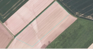 Landwirtschaftliche Fläche zum Kauf 25.000 € 10.960 m² Grundstück Hinter der Heide Gransdorf 54533