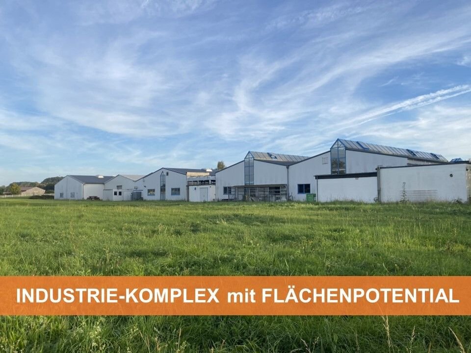 Produktionshalle zum Kauf 1.200.000 € 4.012 m²<br/>Ladenfläche Seelbach Seelbach 56377