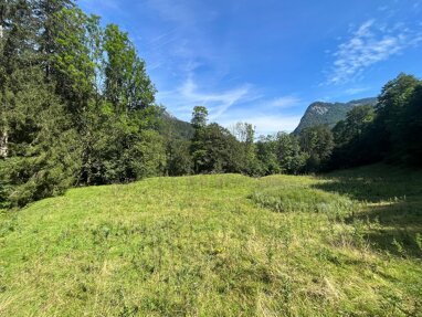 Land-/Forstwirtschaft zum Kauf 80.000 € 8.038 m² Grundstück Aschau im Chiemgau (Sachrang) 83229