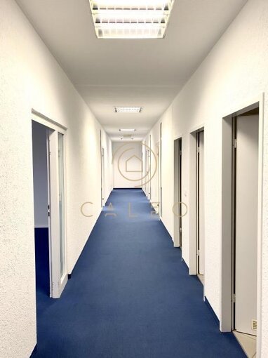 Bürofläche zur Miete Provisionsfrei 7 € 220 m² Bürofläche teilbar ab 220 m² Sprendlingen Dreieich 63303