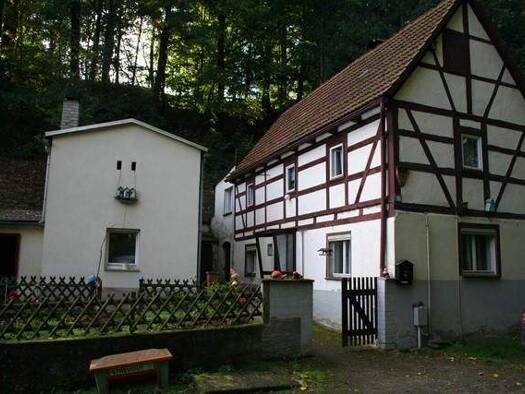 Bauernhaus zum Kauf 85.000 € 100 m² 1.548 m² Grundstück frei ab sofort Waldstraße 8 Neuhirschstein Hirschstein 01594