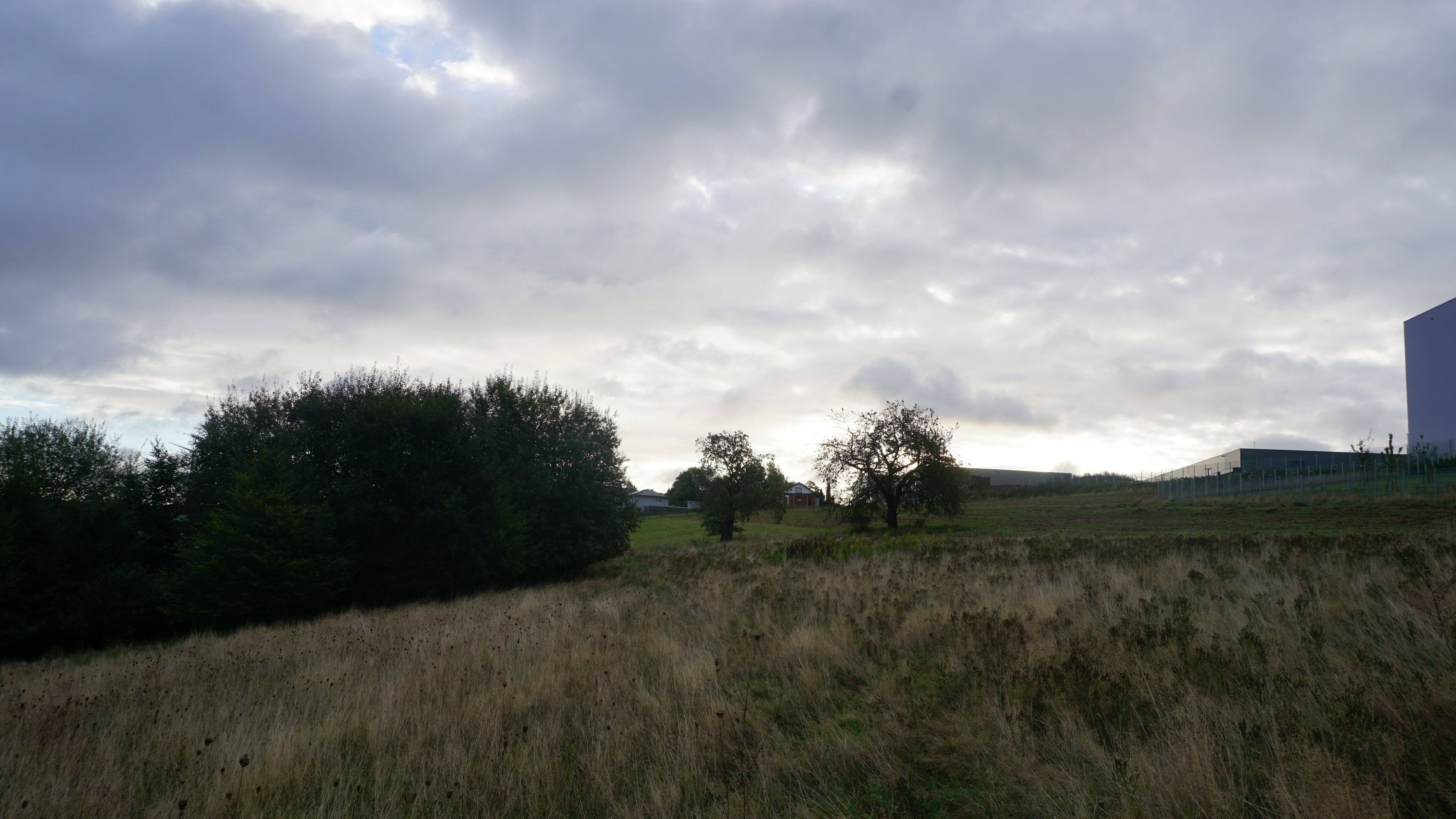 Drei vollerschlossene Baugrundstücke in Petersberg im Pfälzer Wald – Ihr Traumgrundstück mit Fernblick