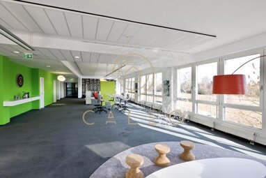 Bürofläche zur Miete Provisionsfrei 12,90 € 4.517 m² Bürofläche teilbar ab 256 m² Mörfelden Mörfelden-Walldorf 64546