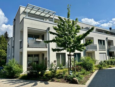 Wohnung zur Miete 790 € 2 Zimmer 61 m² Erdgeschoss Steinheim Hanau 63456