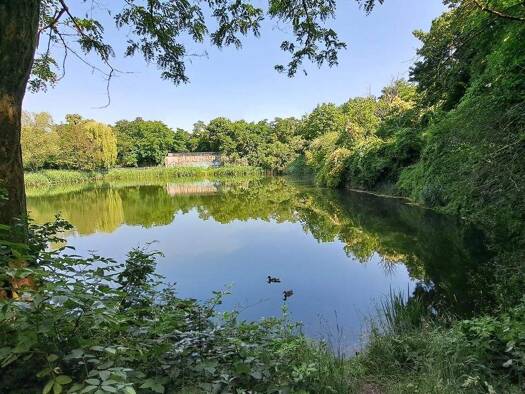 Wohnung zur Miete 529 € 4 Zimmer 89,6 m² 4. Geschoss Bruno-Beye-Ring 7 Neu Olvenstedt Magdeburg 39130