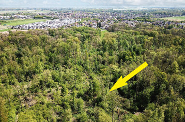 Grundstück zum Kauf 5.000 € 6.070 m² Grundstück Nahe Bruchstraße, Flur 18, Flurstück 136 Korschenbroich Korschenbroich 41352