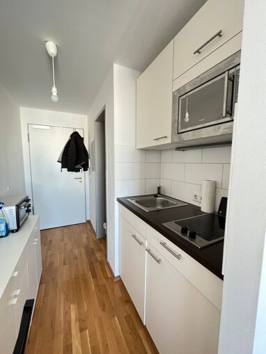 Wohnung zum Kauf 225.000 € 1 Zimmer 20,3 m² 8. Geschoss Obere Au München / Au 81541