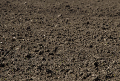 Landwirtschaftliche Fläche zum Kauf provisionsfrei Riekofen Riekofen 93104