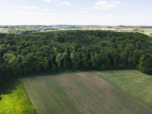 Gewerbegrundstück zum Kauf 21.452 € 4.767 m² Grundstück Auernheim Treuchtlingen Auernheim 91757
