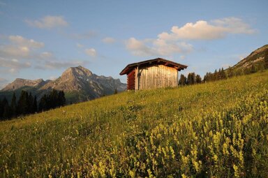 Grundstück zum Kauf 780 m² Grundstück Lech 6764