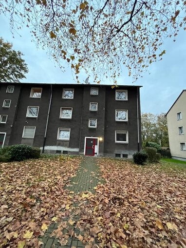 Wohnung zur Miete 299 € 1 Zimmer 39 m² Erdgeschoss Reinholdstr. 45 Mittelmeiderich Duisburg 47137
