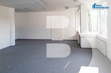 Büro-/Praxisfläche zur Miete 450 € 1 Zimmer 46,2 m² Bürofläche Am Ottstorfer Berg 50 Thalheim bei Wels 4600