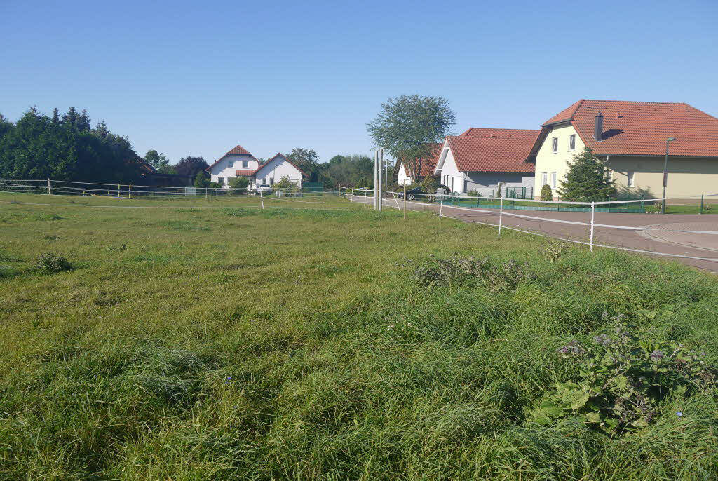 Immobilie in Könnern - Könnern OT Kirchedlau: Bungalow-Neubau auf 560 qm Baugrundstück - Bild 1