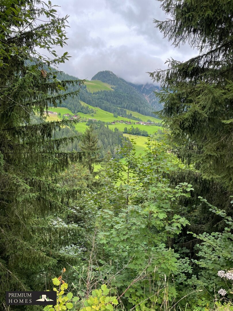 Forstwirtschaft zum Kauf 62.391 m² Grundstück Reith im Alpbachtal 6235