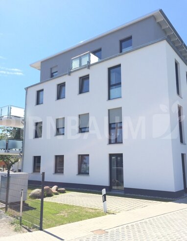 Wohnung zur Miete 540 € 2 Zimmer 47,8 m² Erdgeschoss Fettenvorstadt / Stadtrandsiedlung Greifswald 17489