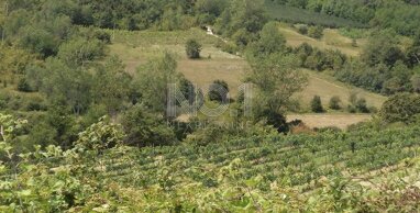 Land-/Forstwirtschaft zum Kauf 103.000 € Novaki Motovunski