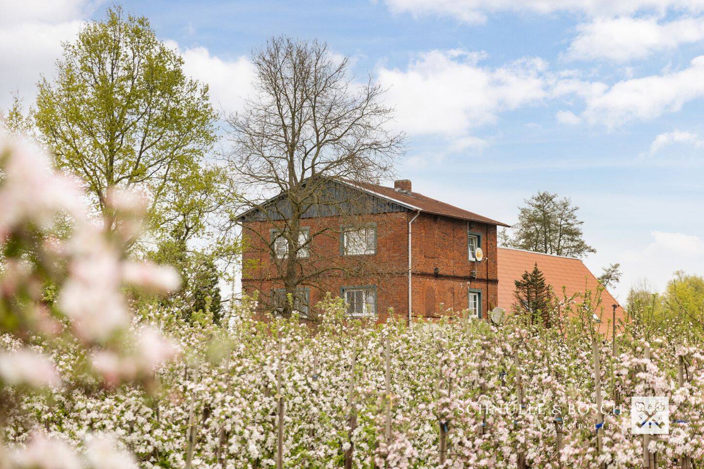 Mehrfamilienhaus zum Kauf