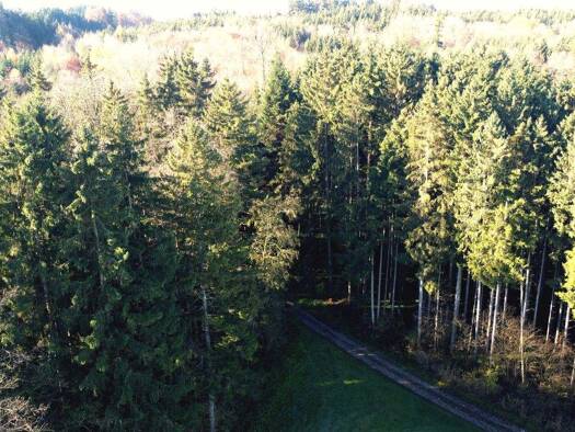 Land-/Forstwirtschaft zum Kauf 700.000 € 89.710 m² Netterndorf Baiern 85625