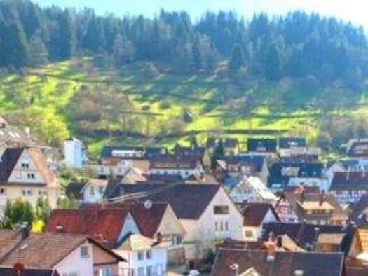 Wohnung zur Miete 800 € 2,5 Zimmer 67 m² frei ab sofort Langenbrander Straße 1 Langenbrand Forbach 76596