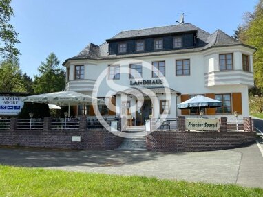 Hotel zum Kauf 498.000 € 158 m² Gastrofläche 4.864 m² Grundstück Adorf Adorf 08626