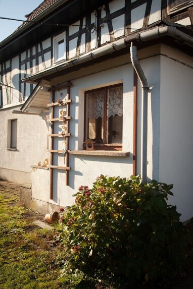 Haus zum Kauf Provisionsfrei 125.000 € 7 Zimmer 1.200 m² Grundstück Lindenplatz Haselbach 04617