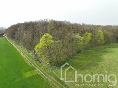 Land-/Forstwirtschaft zum Kauf 99.000 € 72.373 m² Grundstück Spriehusen Spriehusen 18233