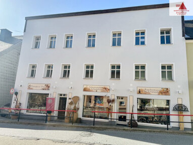 Wohnung zur Miete 260 € 1 Zimmer 42 m² 2. Geschoss Karlsbader Str. 9 Oberwiesenthal Kurort Oberwiesenthal 09484
