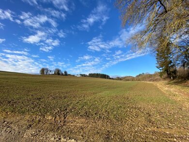 Land-/Forstwirtschaft zum Kauf 49.946 m² Grundstück Essenbach Essenbach / Mirskofen 84051