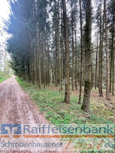 Forstwirtschaft zum Kauf 203.000 € 22.570 m² Grundstück Pfaffenhofen a d Ilm Pfaffenhofen an der Ilm / Tegernbach 85276