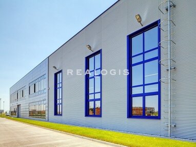Halle/Industriefläche zur Miete Provisionsfrei 5.000 m² Lagerfläche teilbar ab 2.000 m² Garching Garching bei München 85748