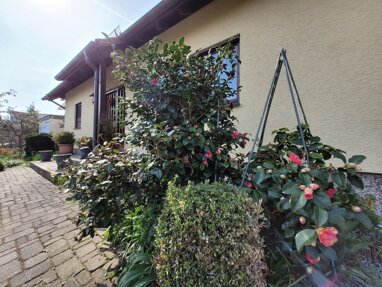 Einfamilienhaus zum Kauf 450.000 € 5 Zimmer 160 m² 570 m² Grundstück Zwenkau Zwenkau 04442