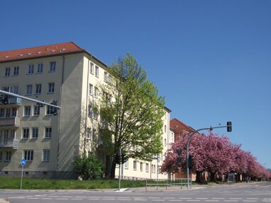 Wohnung zur Miete 239 € 2 Zimmer 47,7 m² 3. Geschoss frei ab sofort Lutherstr. 18 we 27 Lutherviertel 220 Chemnitz 09126