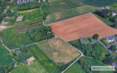 Land-/Forstwirtschaft zum Kauf 27.000 € 3.000 m² Grundstück Rauschendorf Königswinter / Rauschendorf 53639