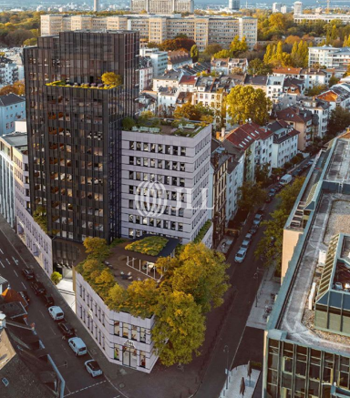 Bürofläche zur Miete provisionsfrei 39 € 1.027 m² Bürofläche Westend - Nord Frankfurt am Main 60322