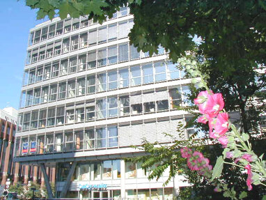 Bürofläche zur Miete Provisionsfrei 27,50 € 338,2 m² Bürofläche Neustadt Hamburg 20355
