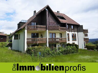 Wohnung zur Miete 385 € 2 Zimmer 52 m² Selbitzer Straße 44A Marlesreuth Naila 95119