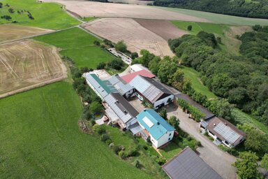 Reiterhof zum Kauf 799.000 € 316 m² 20.000 m² Grundstück Becherbach Becherbach 67827